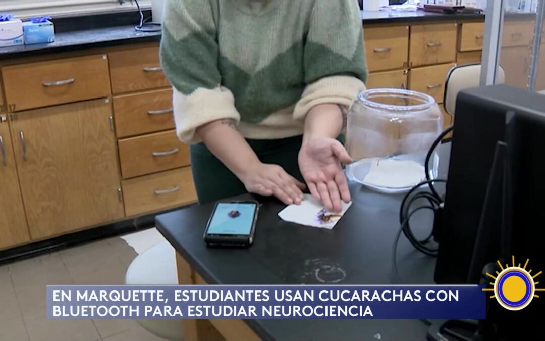 Innovador Proyecto de Neurociencia con Cucarachas Bluetooth en la Universidad de Milwaukee