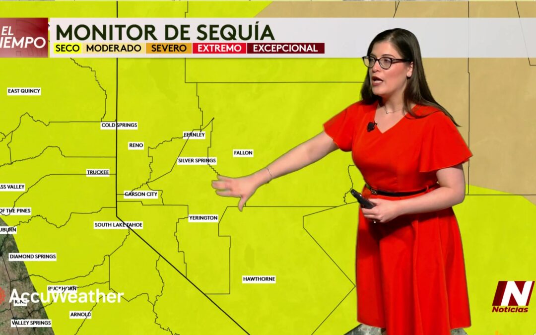 Ataques de Coyotes: Cómo la Alarma se Extiende entre las Familias