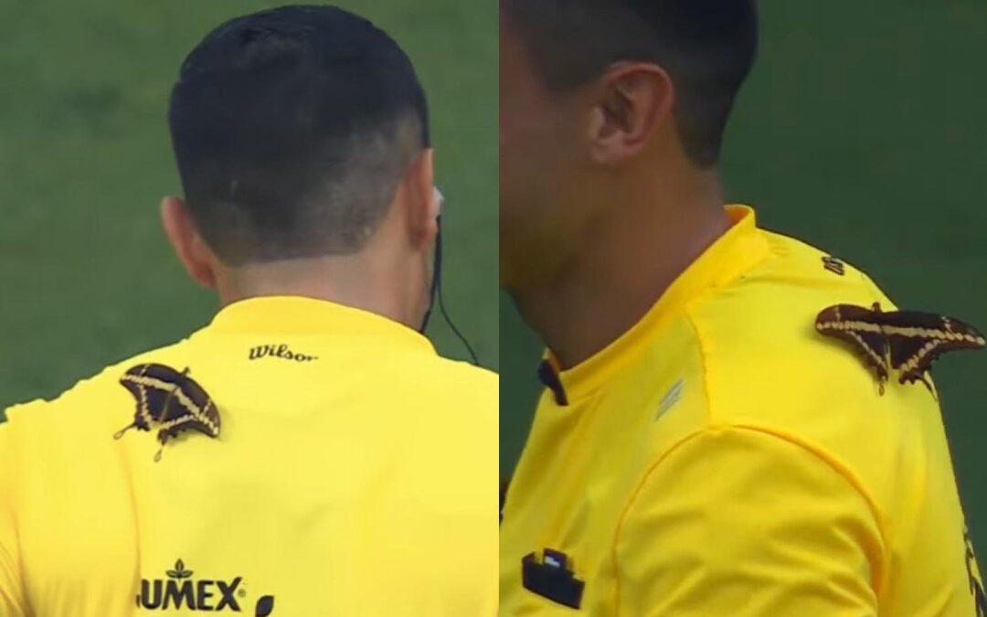 Impactante Momento: Mariposa se Posó en el Árbitro Durante el Partido Rayados vs San Luis