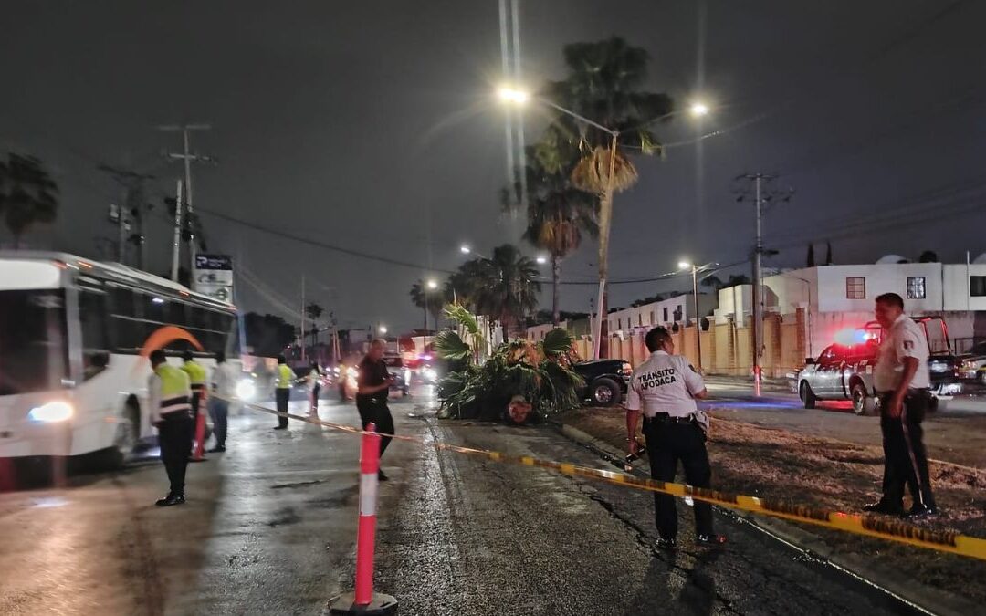 Trágico Accidente en Apodaca: Un Menor Fallece y Otro Resulta Herido