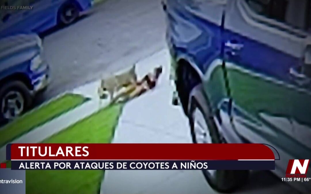 Ataques de Coyotes en Nevada: Alerta y Medidas de Prevención