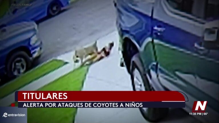 Ataques de Coyotes en Nevada: Alerta y Medidas de Prevención
