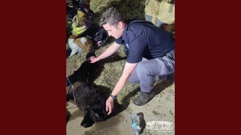 Valiente voluntario en Midland salva gatos de incendio doméstico