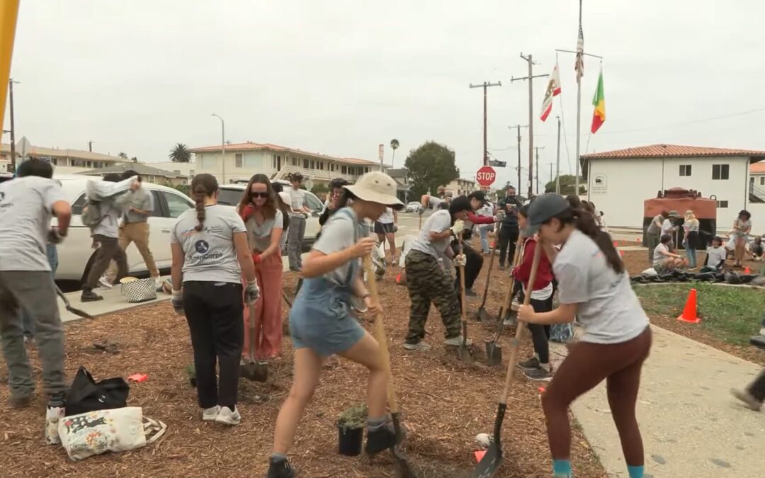 Oportunidades de Servicio Remunerado en San Diego: Únase al California Service Corps