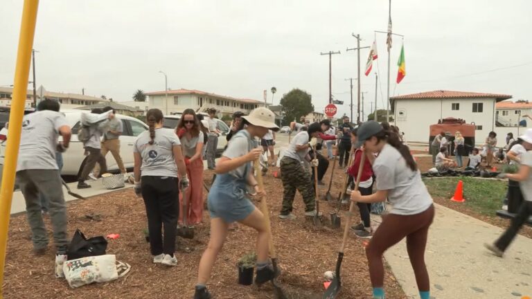 Oportunidades de Servicio Remunerado en San Diego: Únase al California Service Corps