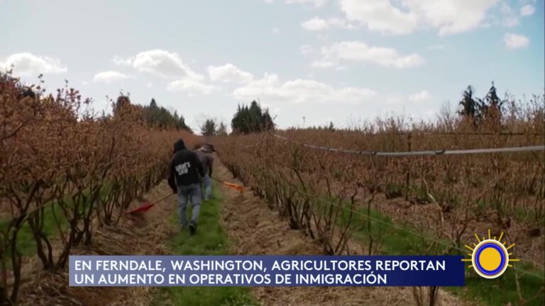 Aumento De Operativos De Inmigración En El Sector Agrícola
