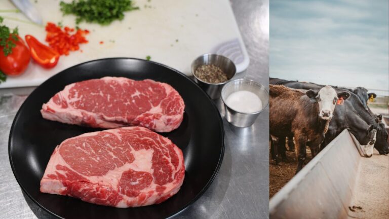 Nuevo México Ofrece Subvenciones Millonarias para Impulsar Procesadores de Carne