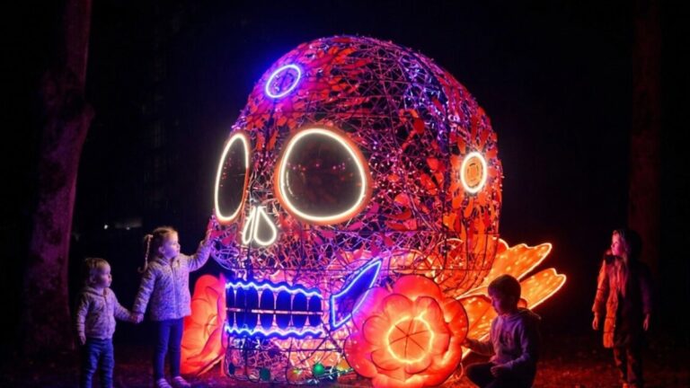 Descubre el Glow Fest México 2026: Fechas y Lugares en Puebla