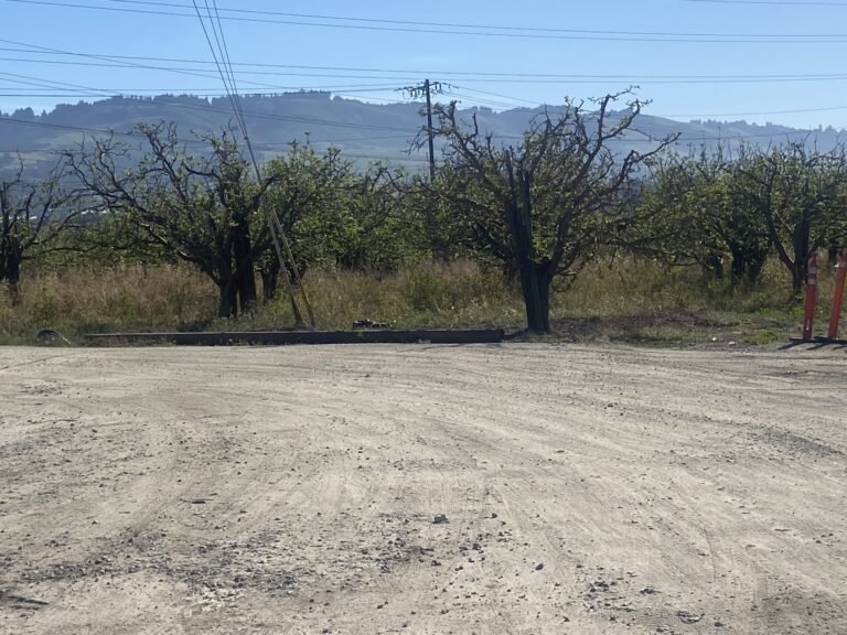 Controversia en Watsonville por Proyecto de Planta de Almacenamiento de Energía