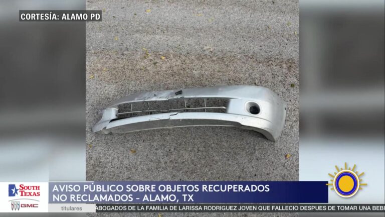 Llamado Del Departamento De Policía De Álamo Para Reclamar Propiedad