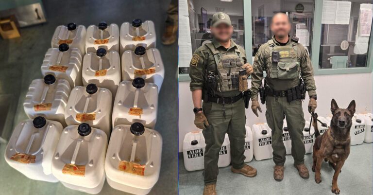 Cocaína Líquida por Valor de 700 Libras Incautada en Alamogordo, Nuevo México