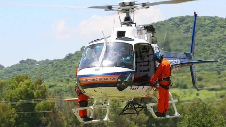 Innovadora Detección de Incendios en el Bosque de la Primavera en Solo 5 Minutos