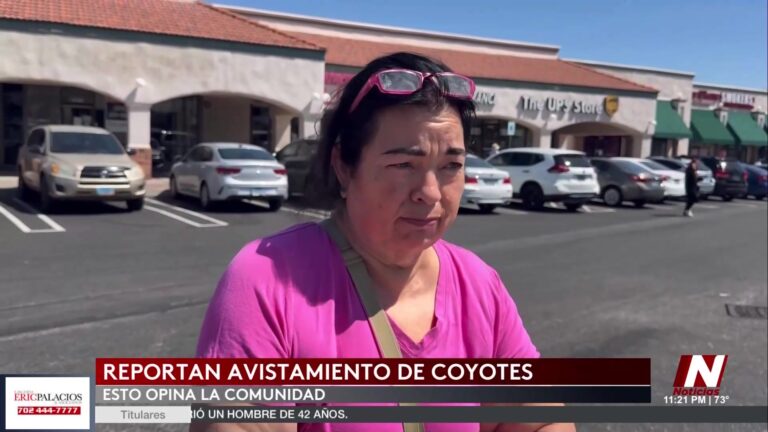Coyotes en Las Vegas: Crece Preocupación por Aumento de Avistamientos