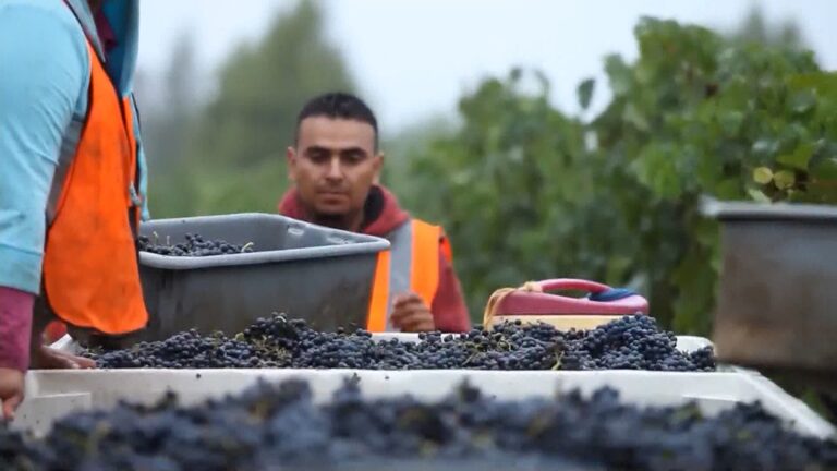 Desempleo en Monterey Impulsa Ferias de Empleo para Combatir Crisis Laboral
