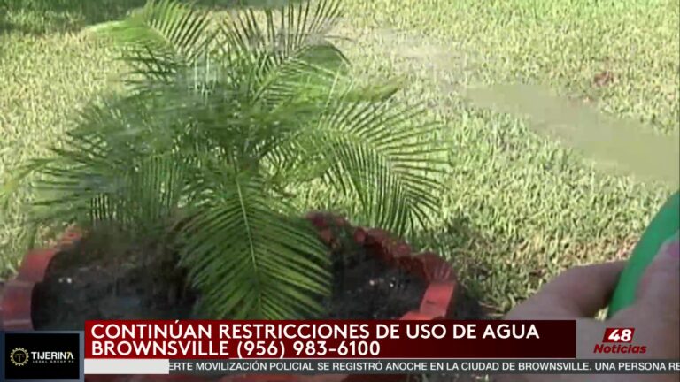 Se Mantienen Restricciones Por Sequía En Brownsville Pese A Lluvias Recientes