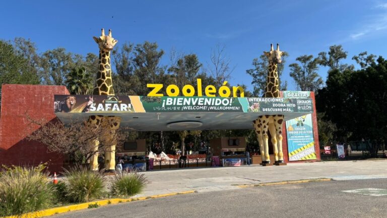 ¡Zoológico de León Cierra Temporalmente: Visitantes desde California Afectados!