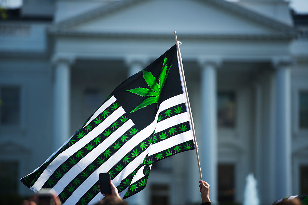 Reclasificación de Cannabis en Colorado: Impactos y Cambios Clave