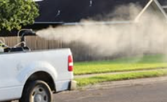 Fumigación contra mosquitos en San Juan y Alton: fechas, horarios y recomendaciones para la comunidad