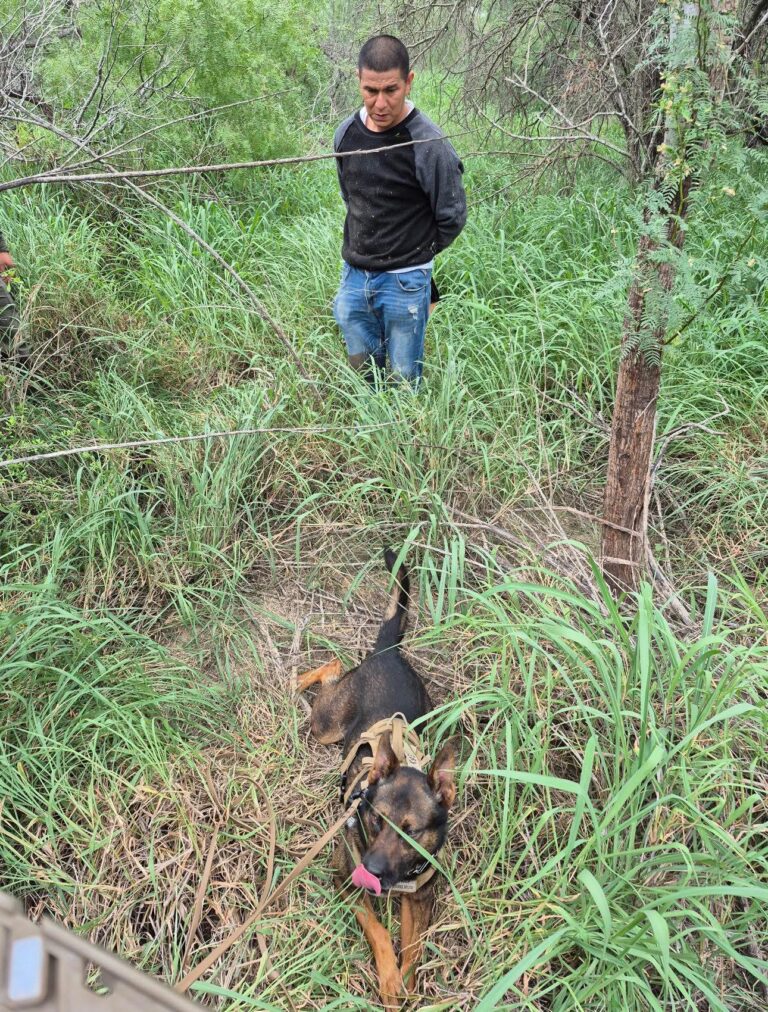 K-9 Eki localiza a migrante tras rastreo de casi dos millas en el condado de Hidalgo
