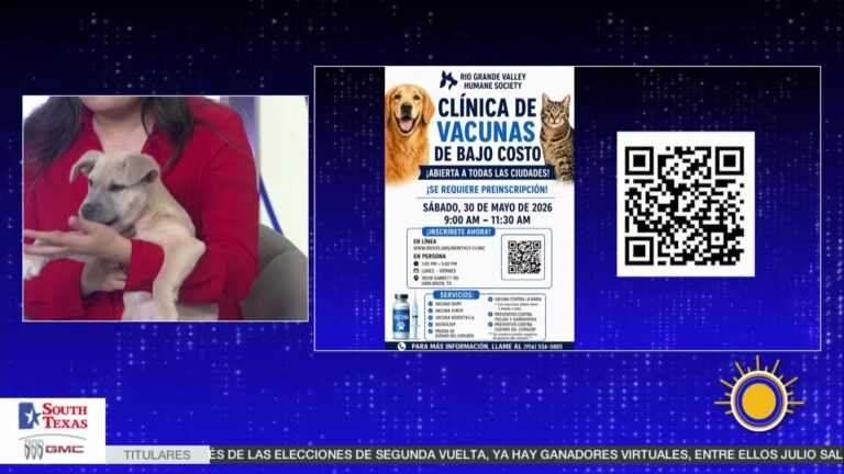 Harlingen Tendrá Jornada De Vacunación Y Adopción De Mascotas