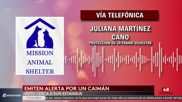 Alerta Por Caimán En Mission: Complejo Even Ox Resort Refuerza Medidas De Seguridad