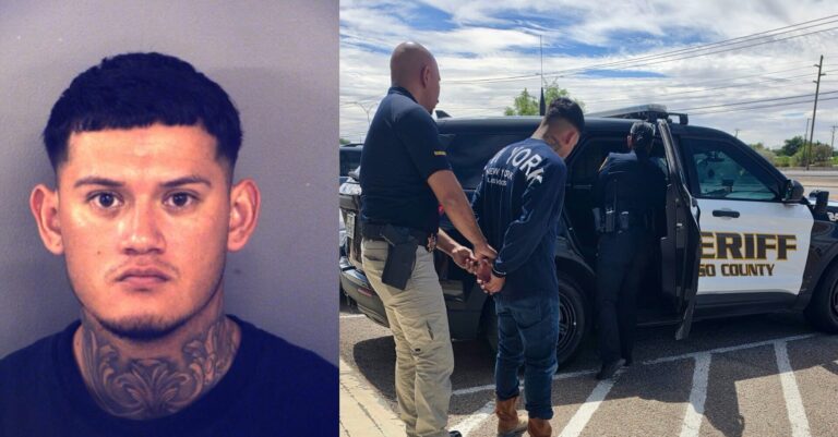 Arrestan en El Paso a un hombre por maltrato animal: Tres perros rescatados