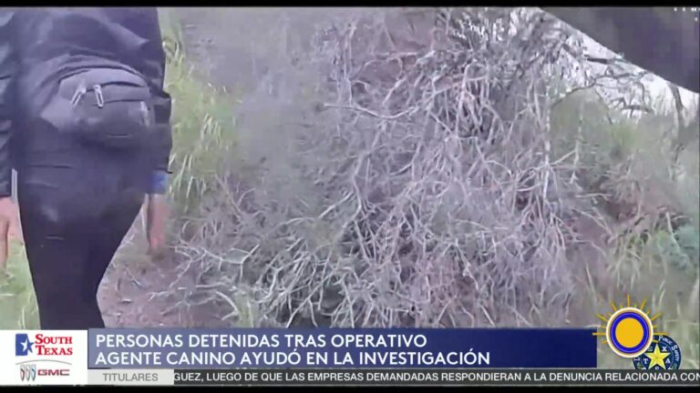 DPS Cameron: DPS Y Patrulla Fronteriza Arrestan A Tres En Cameron Durante Operativo