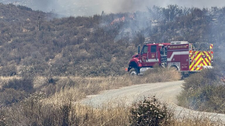 Bomberos de California Avanzan en la Contención del Incendio Border 6 en la Frontera con México