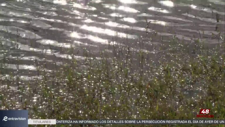 Inicia Fumigación En La Ciudad De Converse Para Combatir Mosquitos