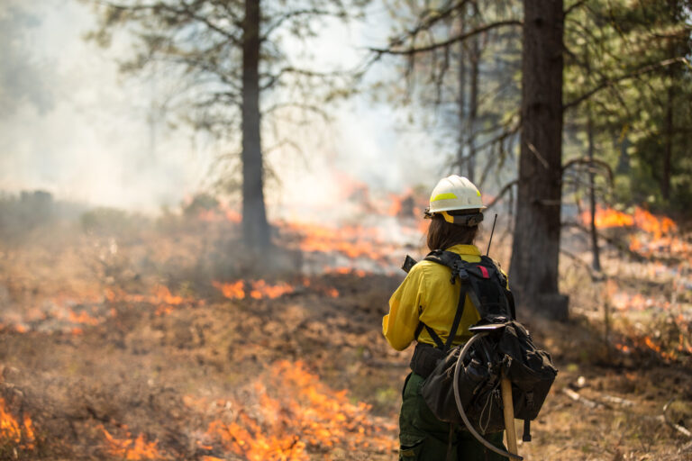 Innovador Sistema de IA en San Diego para Prevenir Incendios