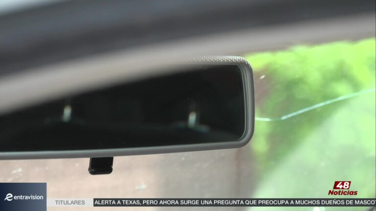 Recomendaciones Para Proteger A Niños De Accidentes En Cocheras Durante El Verano