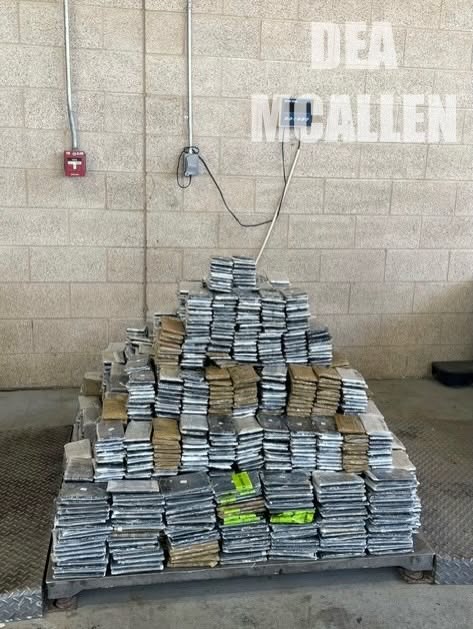 Decomisan más de 800 libras de metanfetamina escondidas en cargamento de calabaza en McAllen