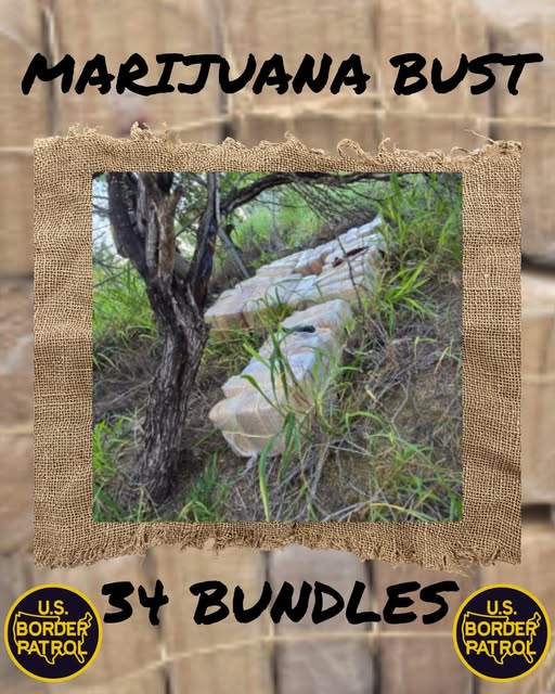 Border Patrol asegura 394 libras de marihuana en operativo en Rio Grande City