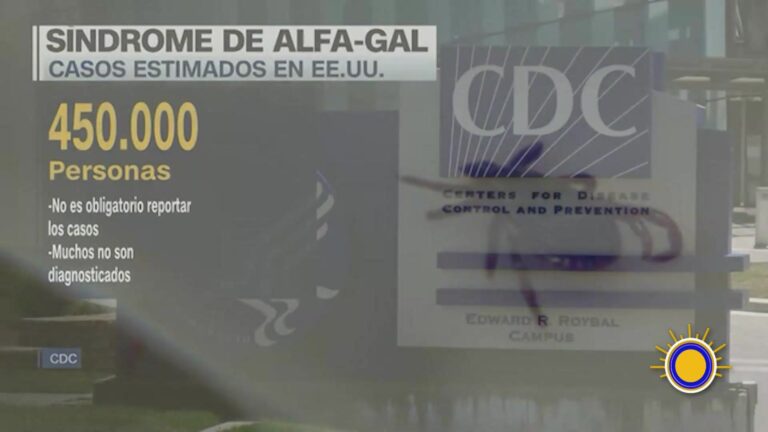 Síndrome Alfagal: Síndrome De Alfagal: Alergia Mortal Transmitida Por Garrapatas En EE.UU.