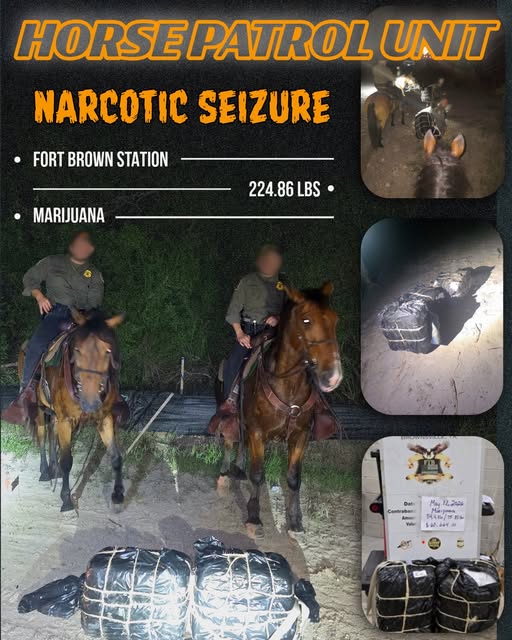 Patrulla Montada de la Patrulla Fronteriza decomisa más de 200 libras de marihuana en Brownsville