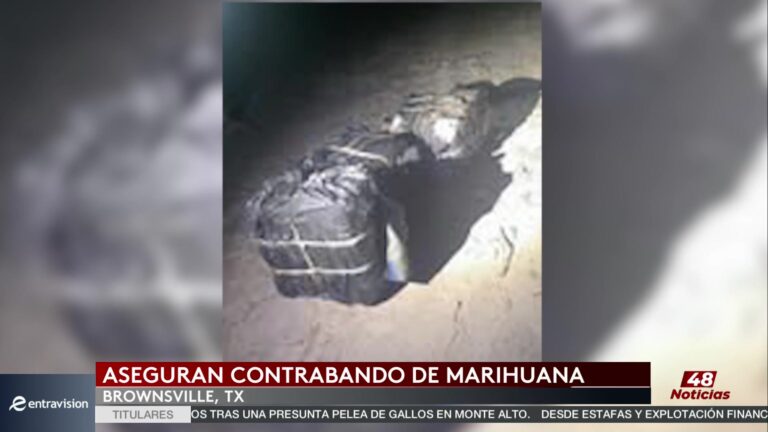 Patrulla Fronteriza Intercepta Dos Cargamentos De Marihuana En Brownsville
