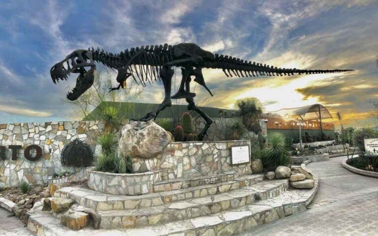 Museo del Desierto en Saltillo: Atractivo Turístico con Guía en Coreano para el Mundial 2026