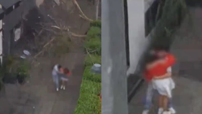 Árbol cae en Miguel Hidalgo mientras una pareja caminaba; el momento quedó en video