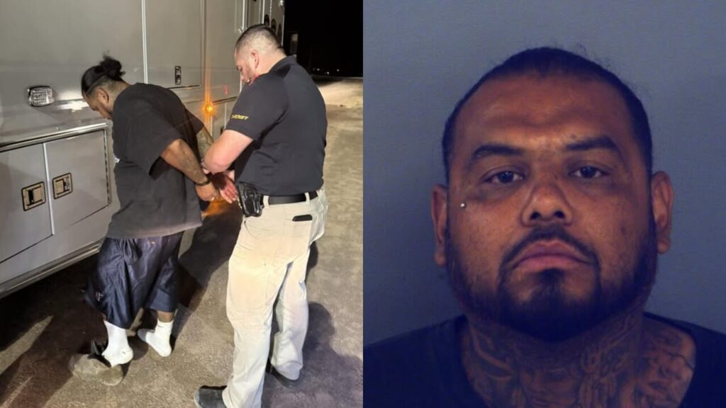Crueldad animal en El Paso: arrestan a un hombre y rescatan a 35 animales en una vivienda