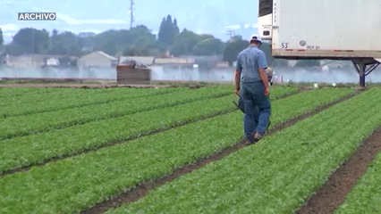 Vermont prohíbe el paraquat por su posible vínculo con el Parkinson