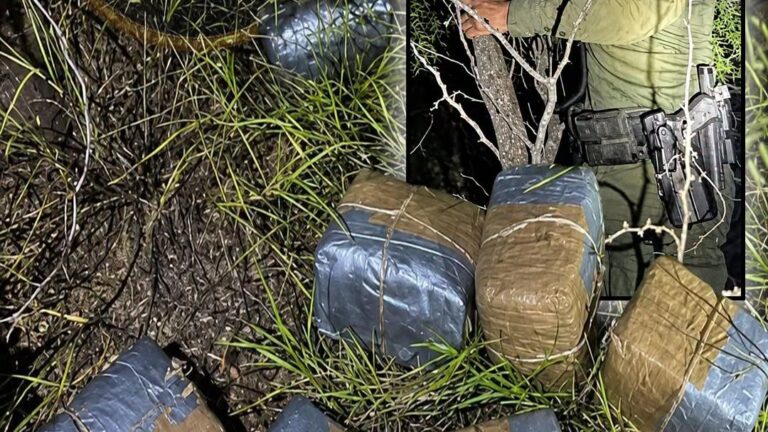 Patrulla Fronteriza decomisa cerca de 40 libras de marihuana cerca de Salineño, Texas