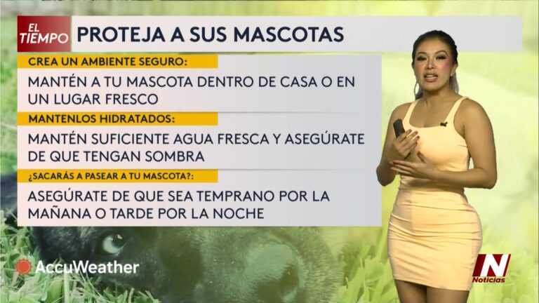 Calor extremo y mascotas: claves para proteger a los animales en Texas