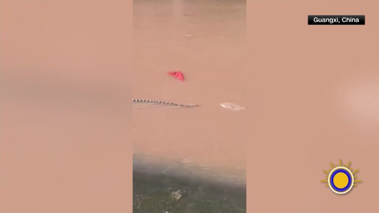 Tifón Maysak agrava las inundaciones en Guangxi y deja desplazados, daños y una muerte por mordedura de serpiente