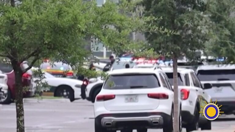 Disparo accidental en Florida: muere un niño durante vacaciones familiares en Kissimmee
