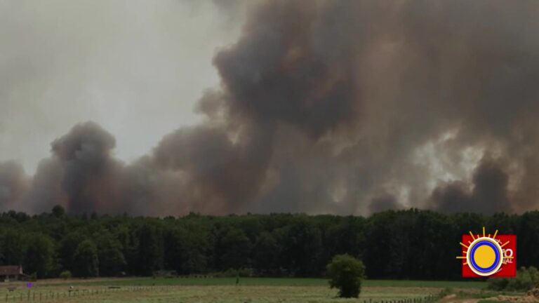 Incendio forestal en París agrava la ola de calor y eleva la alarma en Europa