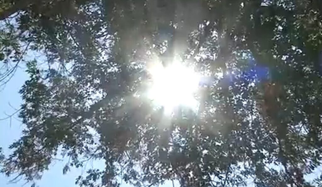 Alertan sobre alto riesgo de incendios por calor extremo y vientos en el condado Starr