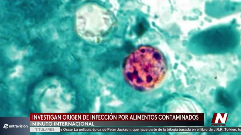 CDC alerta por aumento de casos de ciclosporiasis en Estados Unidos y refuerza medidas de prevención
