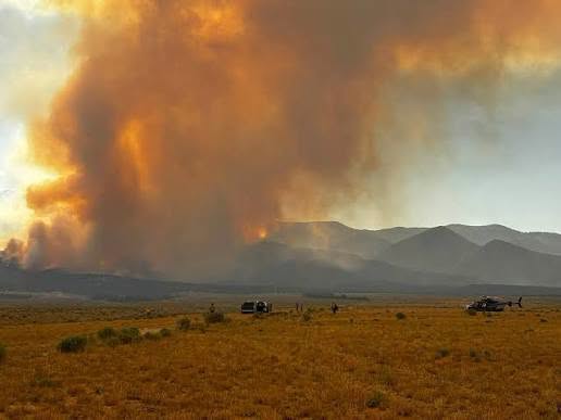 Ward Fire en Nevada: supera 8,164 acres y sigue sin contención cerca de Ely