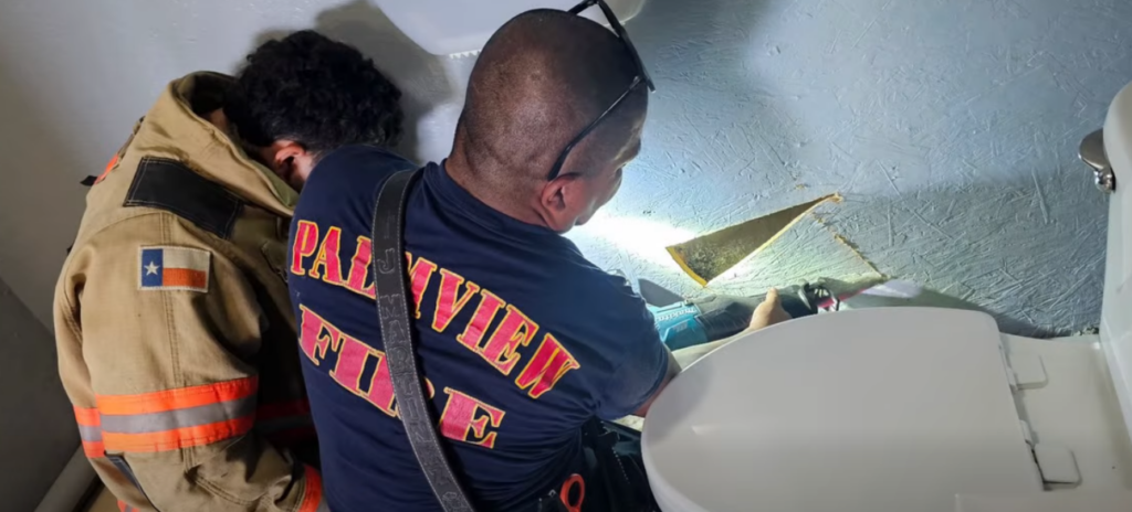 Bomberos de Palmview rescatan a tres gatitos atrapados dentro de una pared