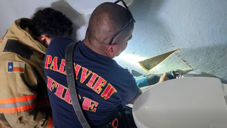 Bomberos de Palmview rescatan a tres gatitos atrapados dentro de una pared